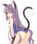  1girl animal_ears ass blue_eyes byulzzimon cat_ears long_hair original purple_hair school_swimsuit swimsuit tail 