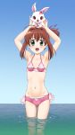  1girl arms_up bikini brown_hair fuji_shinobu green_eyes highres jewelpet_(series) jewelpet_tinkle long_hair rabbit ruby_(jewelpet) sakura_akari short_shors side_ponytail swimsuit 