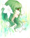  flower green_eyes green_hair hair_flower hair_ornament long_hair smile warcraft world_of_warcraft ysera 