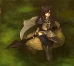  bad_id black_hair boots breasts cat_ears cleavage dog_ears face fingerless_gloves gloves midriff navel polearm purple_eyes shirabi_(life-is-free) sitting sitting_on_object solo thigh-highs thighhighs tree_stump violet_eyes weapon 