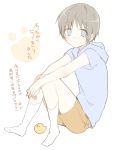  1boy bird black_hair blue_eyes blush chick hoodie kneehighs male original shorts shota_otouto sino_(sionori) socks white_legwear 