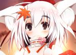  1girl animal_ears autumn_leaves bare_shoulders blush detached_sleeves grey_eyes hair_ornament hat inubashiri_momiji leaf leaf_hair_ornament looking_at_viewer pom_pom_(clothes) short_hair silver_hair smile solo sukage tokin_hat touhou wolf_ears 