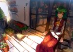  1girl ascot chair florist flower_shop green_hair highres kazami_yuuka long_sleeves open_clothes open_vest plant potted_plant red_eyes shirt shop skirt smile solo touhou uu_uu_zan vest 