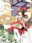  1girl absurdres ascot bei_ju_luoxuan_wan blurry bow brown_eyes brown_hair cake cat cup depth_of_field detached_sleeves flower food fork from_above gohei grass hair_bow hair_tubes hakurei_reimu highres light_smile lily_(flower) looking_up mary_janes outdoors petals plate porch red_shoes ribbon-trimmed_sleeves ribbon_trim shoes sitting solo tea teacup teapot touhou tray 