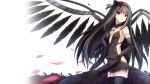  1girl akemi_homura akuma_homura argyle argyle_legwear bare_shoulders black_gloves black_hair black_scarf bow choker dress elbow_gloves feathered_wings flower gloves hair_bow hand_on_own_chest long_hair looking_at_viewer mahou_shoujo_madoka_magica mahou_shoujo_madoka_magica_movie petals red_eyes red_rose rods rose simple_background solo spoilers thigh-highs white_background wings zettai_ryouiki 