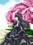  black_cat black_hair cat dress gokou_ruri highres long_hair ore_no_imouto_ga_konna_ni_kawaii_wake_ga_nai 
