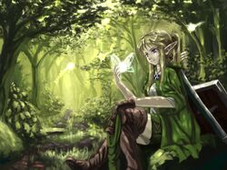  blonde_hair blue_eyes cloak fairy gloves hat hood link linkle long_hair nature nuppa pointy_ears ponytail shield smile sword the_legend_of_zelda weapon zelda_musou 