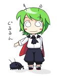  antenna cape green_hair insect short_hair touhou translation_request ugif wriggle_nightbug 