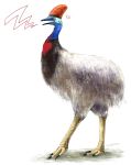  angry animalization bird cassowary hat jojo_no_kimyou_na_bouken obusare parody terence_trent_d&#039;arby 