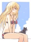  1girl adapted_costume alternate_costume bikini bismarck_(kantai_collection) blonde_hair blue_eyes blush breasts cat cleavage highres kantai_collection long_hair oota_yuuichi profile side sitting smile solo swimsuit 
