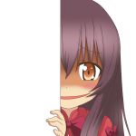  1girl aoki_hagane_no_arpeggio arpeggio_of_blue_steel brown_eyes brown_hair long_hair looking_at_viewer maya_(aoki_hagane_no_arpeggio) nagineko peeking_out shaded_face smirk solo tagme 