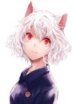  absurdres androgynous animal_ears bon cat_ears curly_hair highres hunter_x_hunter long_hair nefelpitou red_eyes silver_hair solo 