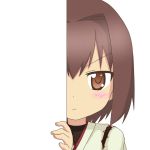  1girl brown_eyes brown_hair hair_ribbon hyuuga_(kantai_collection) japanese_clothes kantai_collection looking_at_viewer nagineko peeking_out ribbon short_hair solo tagme 