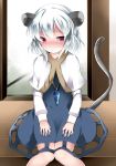 1girl animal_ears bad_proportions blue_dress blush capelet commentary_request dress hammer_(sunset_beach) jewelry looking_at_viewer mouse_ears mouse_tail nazrin necklace red_eyes short_hair silver_hair sitting solo tail tail_raised touhou