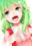  1girl :d backpack bag green_eyes green_hair hair_ornament kochiya_sanae kurenai_iroha open_mouth randoseru smile solo touhou younger 