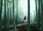  1girl animal_ears back bamboo bamboo_forest brown_hair capelet dress forest ichiba_youichi imaizumi_kagerou landscape long_hair long_sleeves looking_back nature solo touhou wolf_ears 