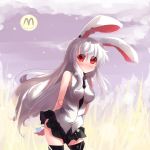  1girl alternate_costume animal_ears bunny_ears rabbit_ears red_eyes reisen_udongein_inaba shin_(new) thighhighs touhou 