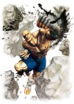  bald eyepatch highres male muscle official_art punching sagat solo street_fighter street_fighter_iv 