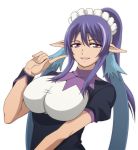  alternate_costume bad_id breasts elf enmaided huge_breasts judith kenji_t1710 maid pointy_ears ponytail purple_hair smile solo tales_of_(series) tales_of_vesperia 