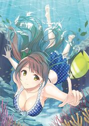  1girl barefoot bikini bikini_skirt blue_bikini breasts brown_hair cleavage coral fish freediving kichiroku large_breasts long_hair love_live!_school_idol_project minami_kotori outstretched_hand pointing polka_dot polka_dot_bikini polka_dot_swimsuit smile solo swimming swimsuit underwater yellow_eyes 