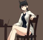  1girl animal_ears black_eyes black_hair chair crossed_legs jacket kitagou_fumika long_hair one-piece_swimsuit open_clothes open_jacket ponytail shibafu_(glock23) sitting solo strike_witches swimsuit 