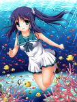  1girl blue_eyes blue_hair coral fish highres hiradaira_chisaki long_hair nagi_no_asukara sailor_dress school_uniform serafuku shisui_(kachoufuugetsu) side_ponytail underwater 