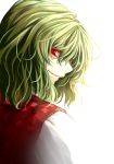  1girl green_hair kazami_yuuka looking_at_viewer looking_back plaid plaid_vest red_eyes rion_(glayjirobass) short_hair touhou vest 