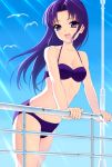  amane_satsuki bikini bird happinesscharge_precure! hikawa_iona long_hair precure purple_hair seagull swimsuit violet_eyes 
