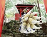  1girl blonde_hair dress forest fox_tail multiple_tails multiple_torii nature stairs tabard tail torii touhou tree wide_sleeves yakumo_ran yamaponzzz 