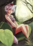  1girl animal_ears bare_arms bare_shoulders barefoot breasts feet_in_water hat inubashiri_momiji kirisame_tarou looking_at_viewer midriff nature open_mouth red_eyes short_hair silver_hair sitting soaking_feet solo tail tokin_hat touhou tree v_arms water wolf_ears wolf_tail 