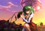  1girl ascot flower green_hair holding holding_flower kazami_yuuka parasol plaid plaid_skirt plaid_vest red_eyes short_hair skirt skirt_set sky smile solo squatting sunflower sunset t.m_(aqua6233) touhou umbrella 