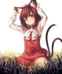  1girl animal_ears arms_up blurry blush brown_eyes brown_hair cat_ears chen depth_of_field grass hat hat_removed headwear_removed ibuki_notsu looking_at_viewer multiple_tails one_eye_closed short_hair sitting solo tail touhou white_background 