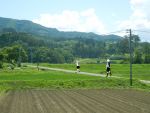  2girls aislinn_wishart bag field grass hana-kagume kneehighs kosegawa_shiromi landscape multiple_girls nature outdoors photo_background pleated_skirt power_lines road saki scenery school_bag school_uniform short_hair short_sleeves skirt sky telephone_pole tree vest walking 