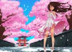  1girl ankle_lace-up brown_hair cherry_blossoms cherry_trees cross-laced_footwear dress dress_lift elbow_gloves gloves hand_on_own_chest highres original solo spring standing stormcow torii violet_eyes wind 