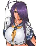  1girl antenna_hair breasts grey_eyes hair_over_one_eye highres ikkitousen kan&#039;u_unchou large_breasts long_hair nameo_(judgemasterkou) purple_hair school_uniform serafuku solo very_long_hair 