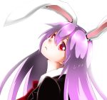  1girl animal_ears extra_ears lavender_hair long_hair looking_at_viewer looking_back nayutaro rabbit_ears red_eyes reisen_udongein_inaba simple_background solo touhou white_background 