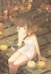  1girl bangs bare_shoulders blunt_bangs brown_eyes brown_hair chrysanthemum cup flower frown hair_bun holding in_water leaf lotus maple_leaf moai_(aoh) monkey naked_towel onsen original partially_submerged sitting tail towel water 