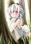 1girl animal_ears blush hat highres inubashiri_momiji looking_at_viewer natui nature open_mouth pom_pom_(clothes) red_eyes short_hair silver_hair solo tokin_hat touhou tree wolf_ears 