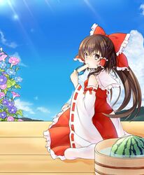  1girl brown_eyes brown_hair detached_sleeves eating flower food fruit hair_ribbon hair_tubes hakurei_reimu highres japanese_clothes long_hair looking_at_viewer miko popsicle ribbon roa_(roa89) sitting solo touhou watermelon wide_sleeves 