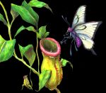  artist_request butterfly butterfree nature nintendo plant pokemon pokemon_(creature) realistic victreebel weepinbell 