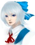  bad_id chumumu cirno face realistic simple_background touhou 