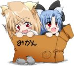  animal_ears arcueid_brunestud bow box cardboard_box len mouse tsukihime 