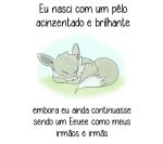 alternate_color artist_request eevee lowres lying no_humans pokemon portuguese shiny_pokemon sleeping translated 