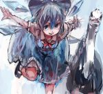  1girl animal ashiyama_yoshinori bird blue_dress blush bow cirno dress hair_bow leaning leaning_forward leg_up mary_janes open_mouth ostrich puffy_short_sleeves puffy_sleeves red_ribbon ribbon shoes short_hair short_sleeves solo touhou 