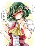  1girl alternate_hairstyle ascot blush flower green_hair hair_flower hair_ornament highres kazami_yuuka looking_at_viewer mimoto_(aszxdfcv) red_eyes short_hair solo touhou translation_request twintails 