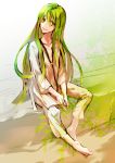  1boy barefoot enkidu_(fate/strange_fake) fate/strange_fake fate_(series) green_eyes green_hair long_hair soaking_feet solo 
