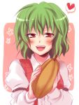  arm_belt blush bust cacao_fruit food fruit happy heart holding holding_fruit kazami_yuuka mokku open_mouth plaid_vest slit_pupils smile spoken_heart teeth touhou valentine 