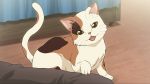  animal cat game_cg highres no_humans official_art shamisen_(suzumiya_haruhi) suzumiya_haruhi_no_shoushitsu suzumiya_haruhi_no_tsuisou suzumiya_haruhi_no_yuuutsu 