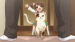  1girl cat game_cg highres kyon kyon_no_imouto official_art shamisen_(suzumiya_haruhi) suzumiya_haruhi_no_shoushitsu suzumiya_haruhi_no_tsuisou suzumiya_haruhi_no_yuuutsu 