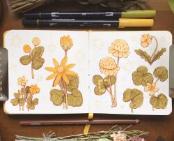  colored_pencil commentary english_commentary flower flower_focus flower_request highres indoors leaf lianne_pflug marker marker_(medium) no_humans original pencil photo_(medium) plant sketchbook sparkle still_life traditional_media yellow_flower 